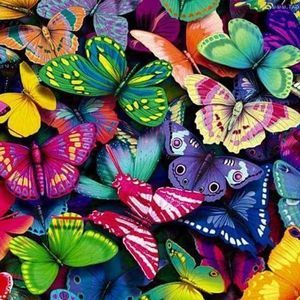 Meet your Posher, Barbara